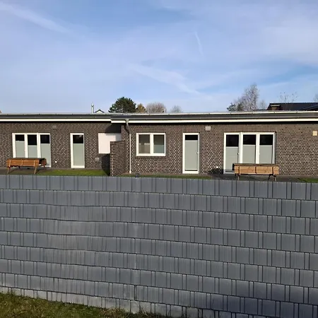 Lachende Moewe 2 Butjadingen